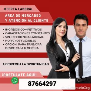 Gran Oportunidad Laboral